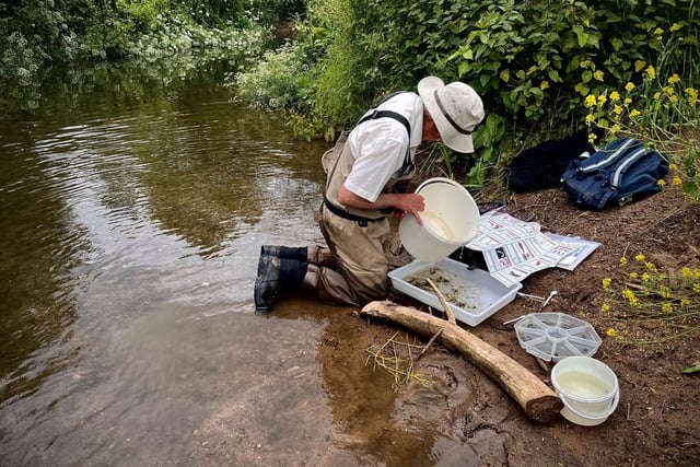Volunteers tackle river Chew's 'ecological crisis'